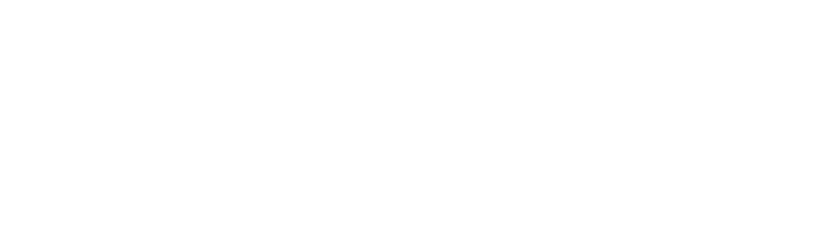 Kiwi Game